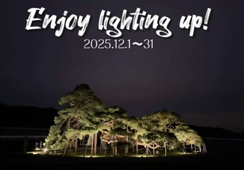 ■鶴亀の松ライトアップ